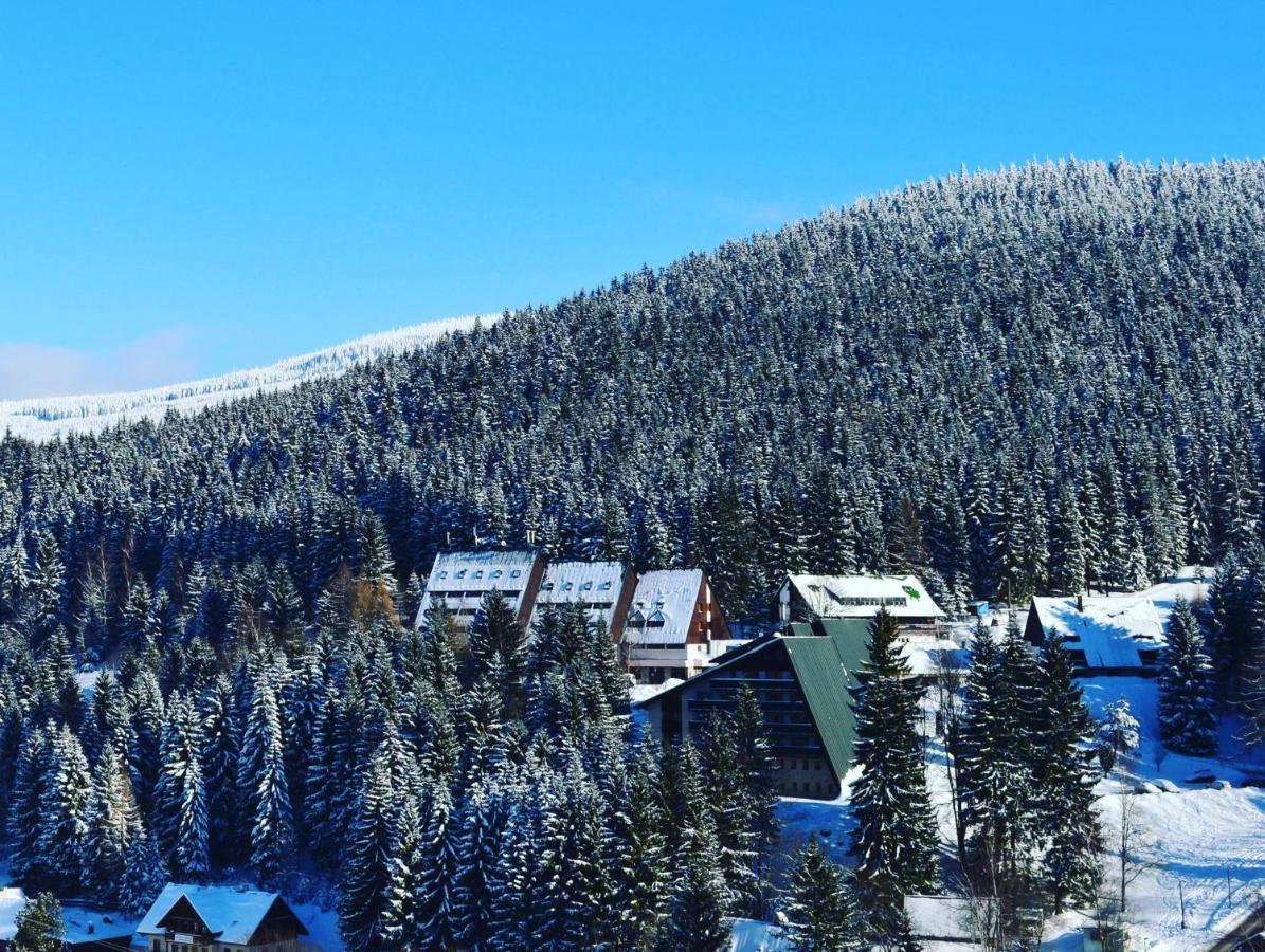 Pension Renata Harrachov Esterno foto