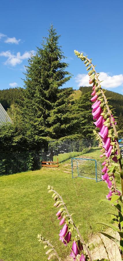 Pension Renata Harrachov Esterno foto
