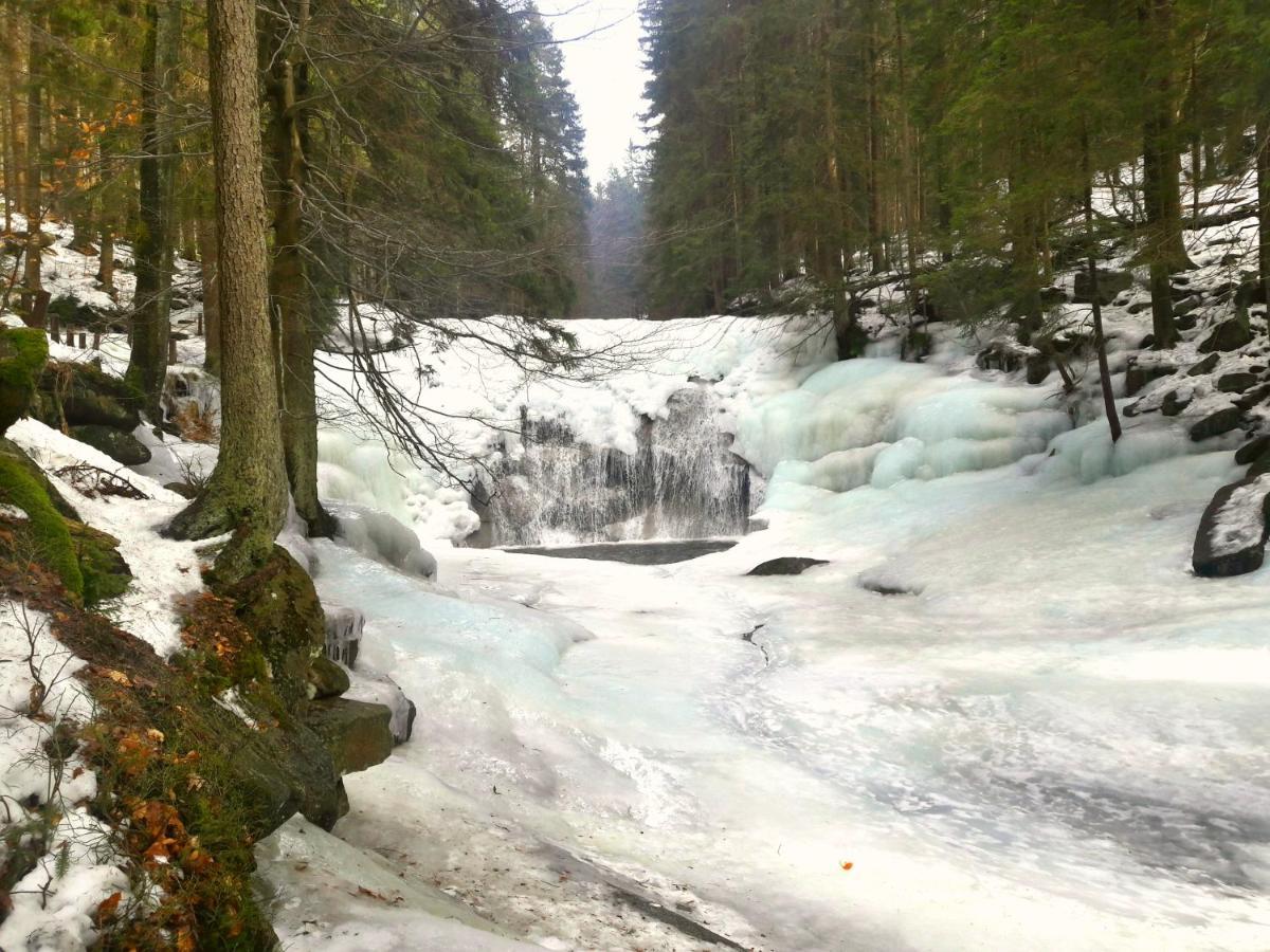 Pension Renata Harrachov Esterno foto