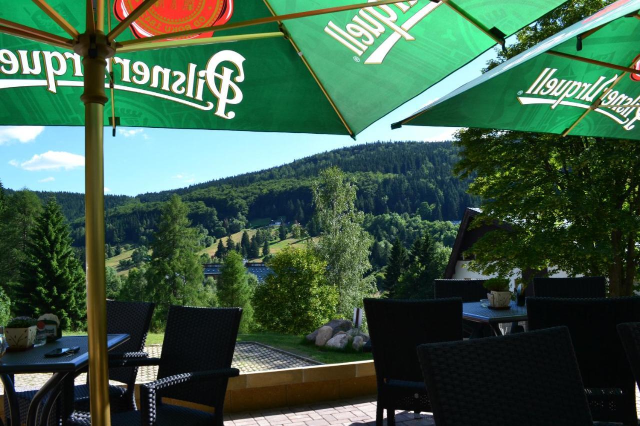 Pension Renata Harrachov Esterno foto